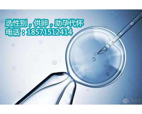 郑州借卵联系方式,1杭州红会医院试管婴儿成功率是多少