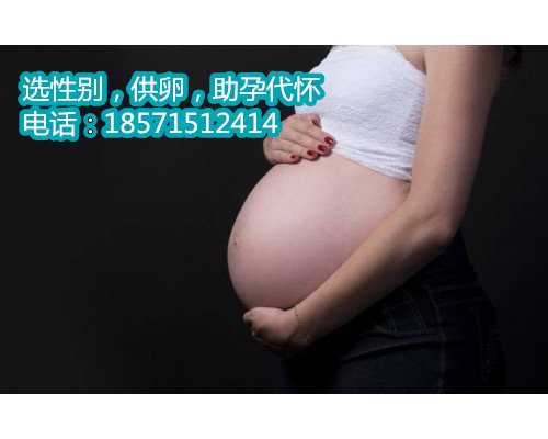 郑州代怀代怀价格,孕妇如何预防得痔疮